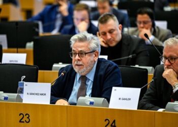 EU Rapporteur Amor: Journalism Is a Dangerous Profession in Turkey
