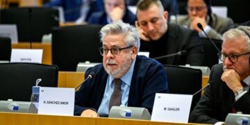 EU Rapporteur Amor: Journalism Is a Dangerous Profession in Turkey